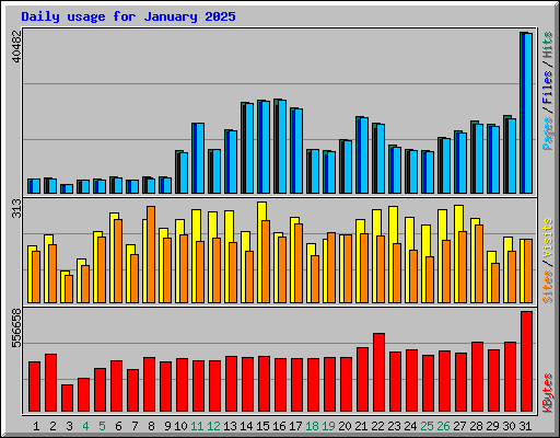 Daily usage for January 2025