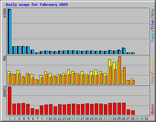 Daily usage for February 2025