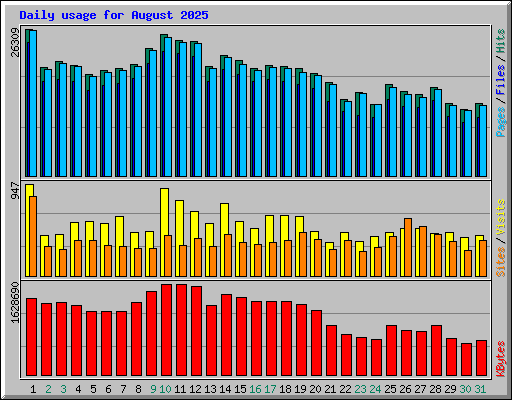 Daily usage for August 2025