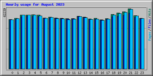 Hourly usage for August 2023