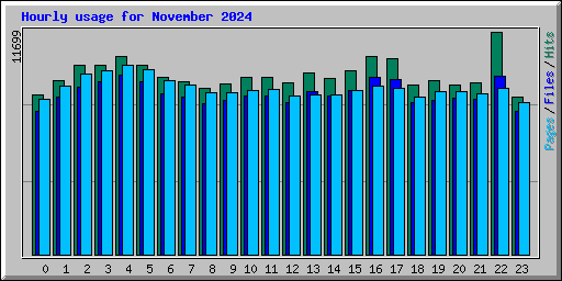 Hourly usage for November 2024