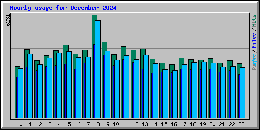 Hourly usage for December 2024