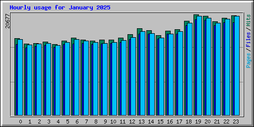 Hourly usage for January 2025