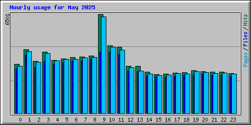 Hourly usage for May 2025