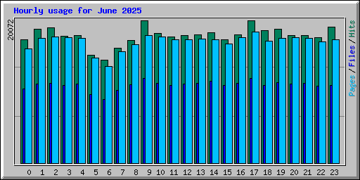 Hourly usage for June 2025
