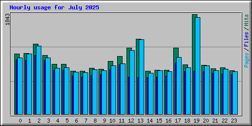 Hourly usage for July 2025