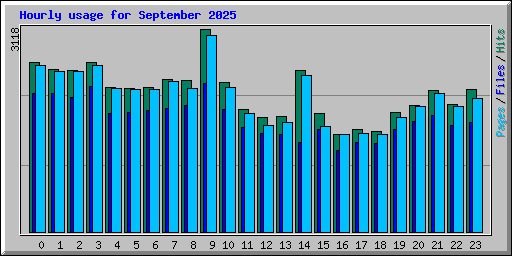 Hourly usage for September 2025