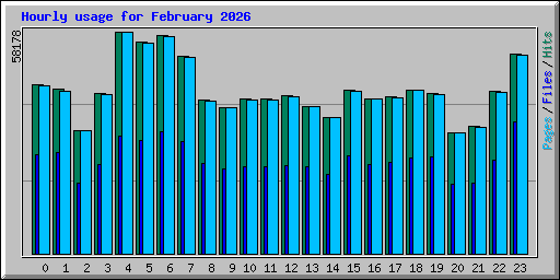 Hourly usage for February 2026
